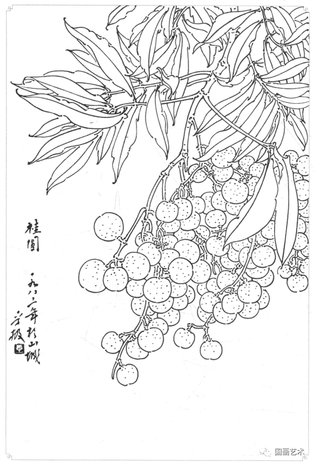 桂圆核桃桃梨桔子油果油果水蜜桃番石榴番石榴夏橙番茄红桔皂角苹果