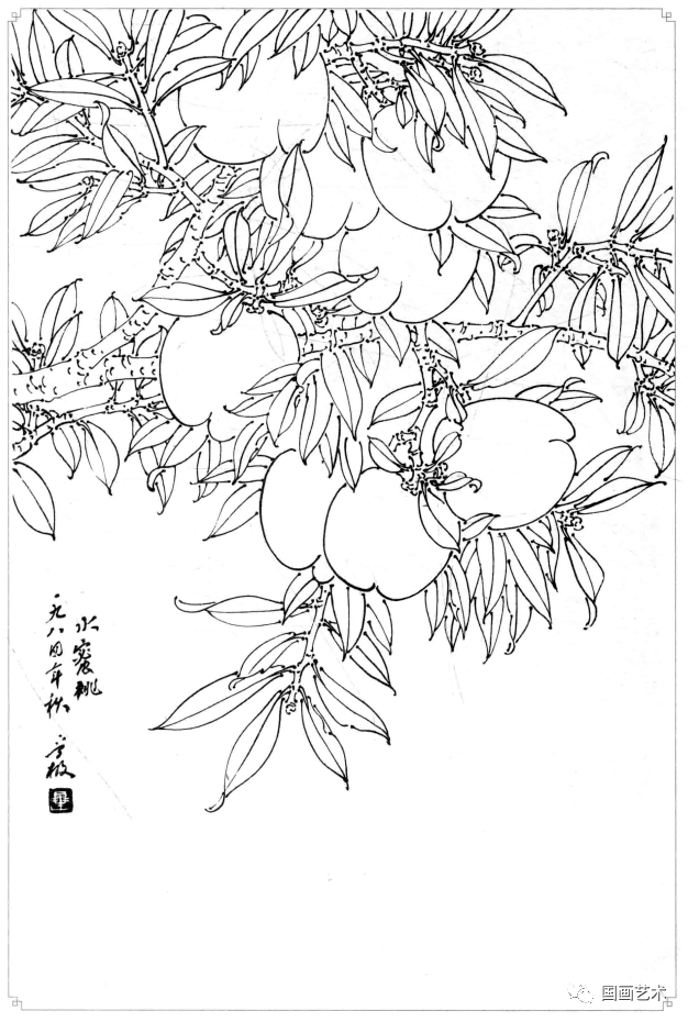 白描蔬果选页欣赏