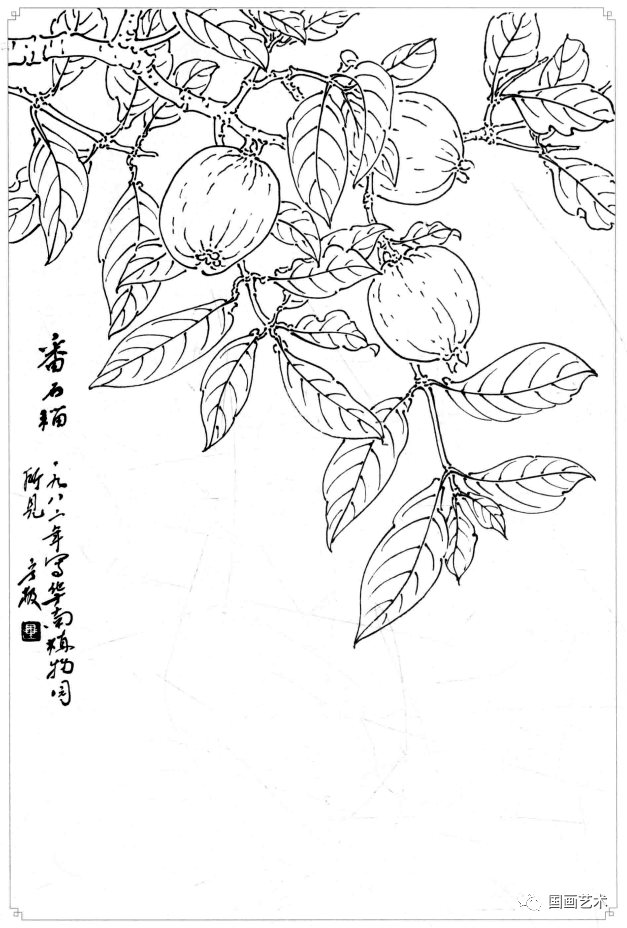 白描蔬果选页欣赏