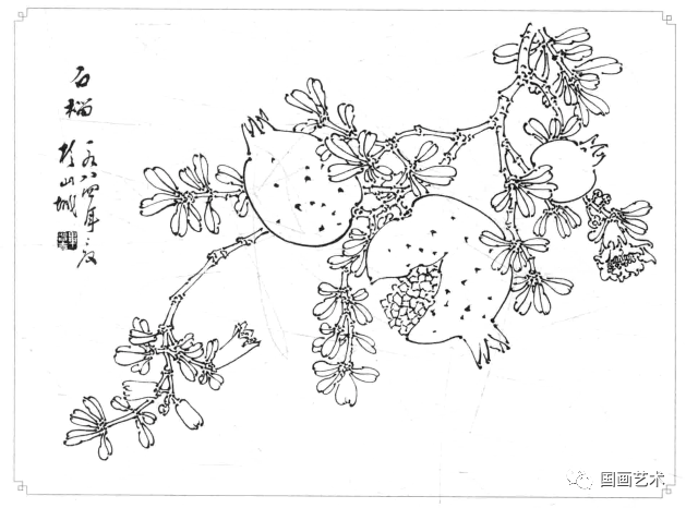 白描蔬果选页欣赏