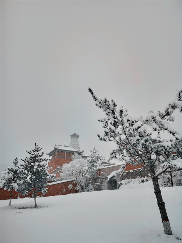 四月第一天五台山普降大雪,究竟是文殊示喜还是有人在跟菩萨伸冤