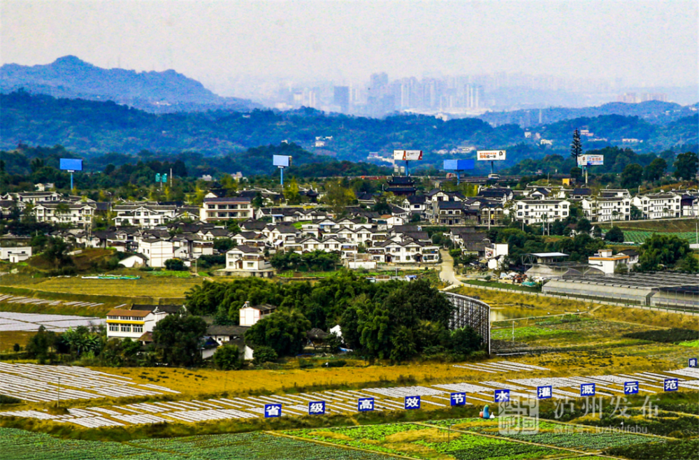 雲龍鎮伏耳村【合江縣】榕山鎮回洞橋村荔江鎮柿子田村真龍鎮瓦房村