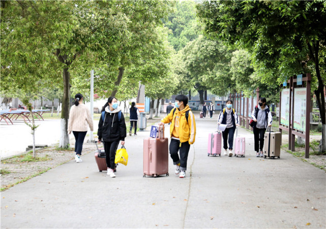 回校的学生们行走在校园内