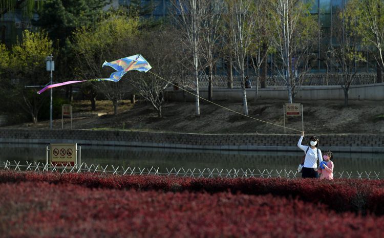 北京公园放风筝图片