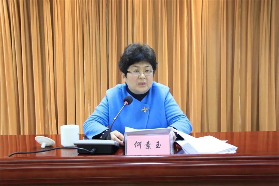 何素玉充分肯定全区精神文明建设工作取得的成效.