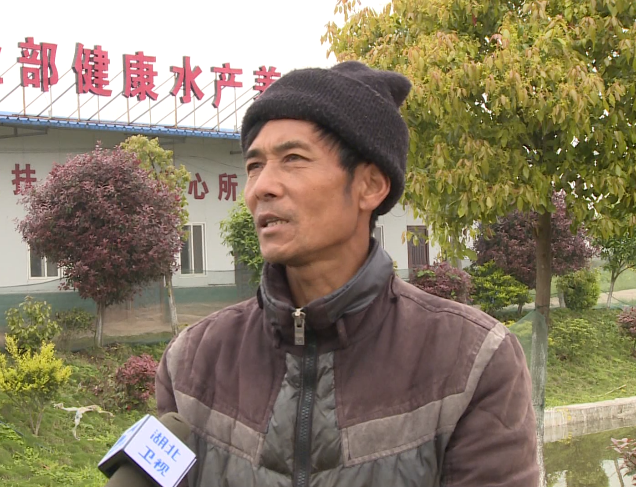 订单爆满了!监利县小龙虾日销八十万斤!