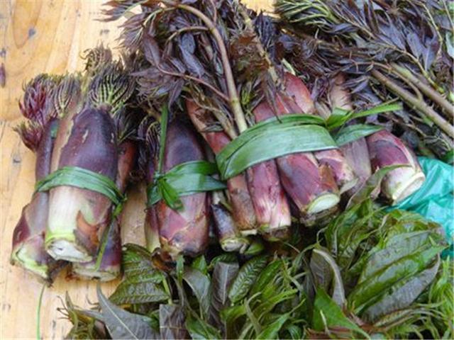 大家喜欢吃刺老包么,这样爽脆可口的野菜要不要来一打呢?
