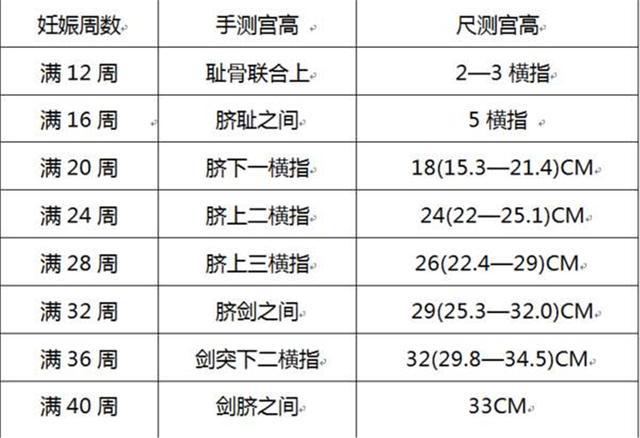 所謂的宮高,就是下腹恥骨聯合處到子宮底的高度,是判斷子宮大小的數據