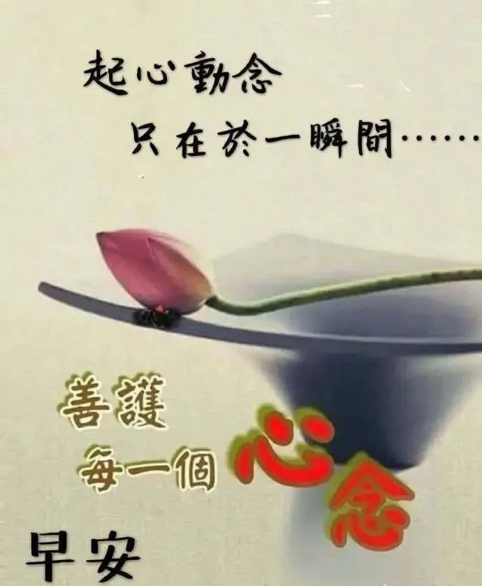 朋友圈群發祝福好友早上好的短信帶圖片溫馨微信早晨好圖片帶字集錦