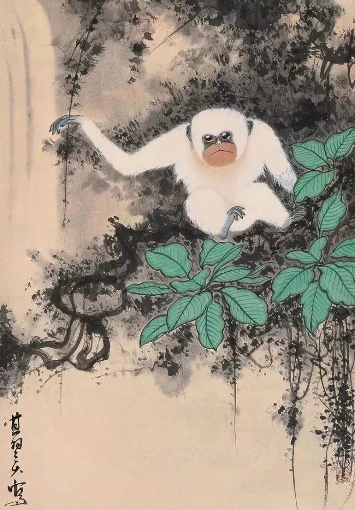 他画猕猴,独树一帜