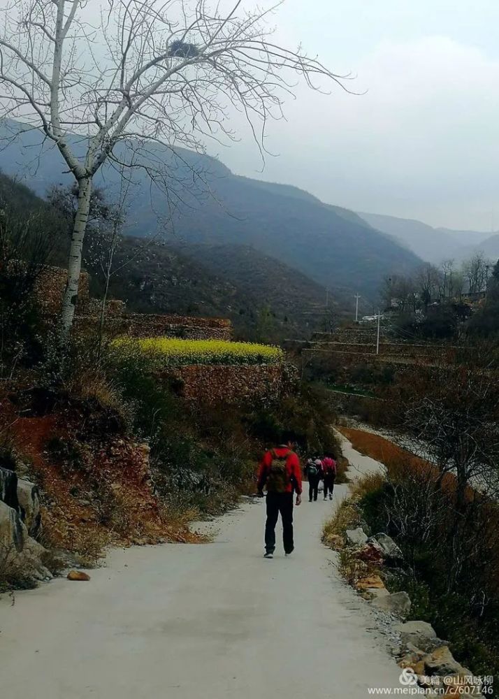 卫辉花园村韭菜沟美类呵瑟