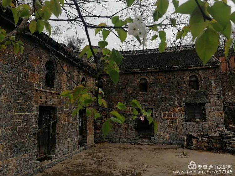 卫辉花园村韭菜沟美类呵瑟