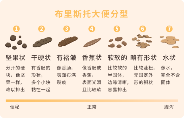 拉完屎以后,千万记得回头看一眼
