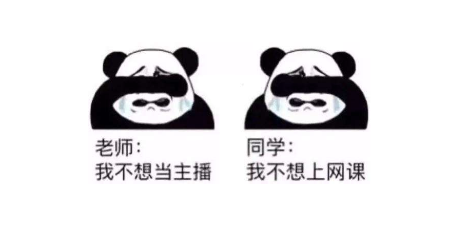 澳洲网课也是上身西装 下身短裤吗 Oh No 其实凸凹老师可正经了 腾讯新闻