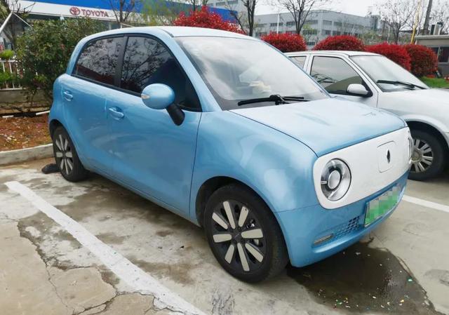 欧拉车主讲了句实话