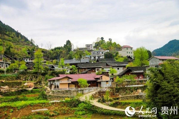 沿河县黄土镇我们的心愿政府懂