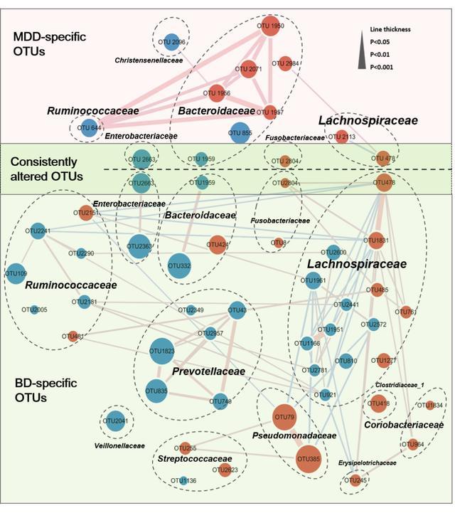 现实版读脑术衰老细胞可以恢复年轻状态