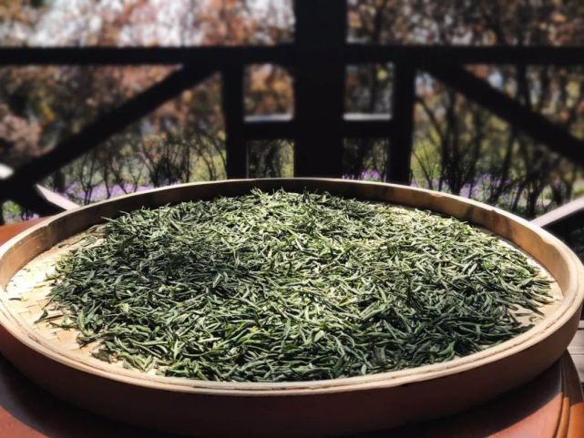 南通军山茶,2020明前头采