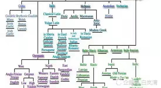 世界九大语系|汉语|汉藏语系