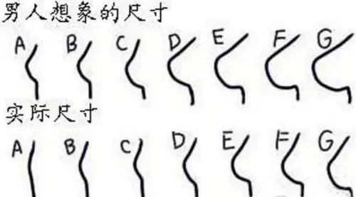 也就这样在有误区的道路上而没有正确了解过罩杯概念的女性肆意定义