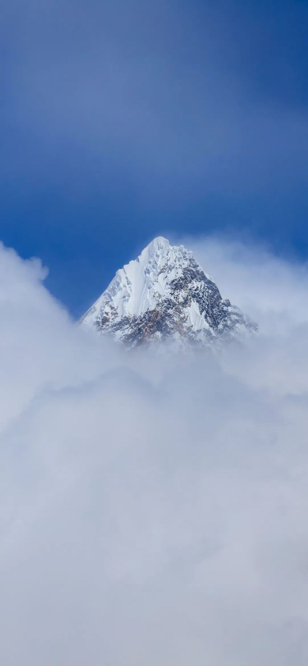 西藏林芝桃花雪山風景高像素手機屏保