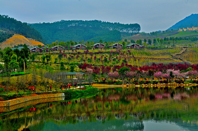 花开疫散 十里蓝山邀您赴春之约