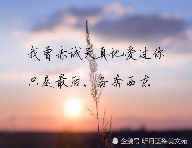 相见不如怀念,将遗憾留在心底,总要继续前行,不打扰,是我给你最后的爱