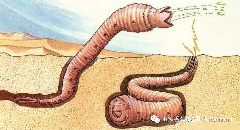 那条困扰了多年的沙漠巨虫竟是人为操作