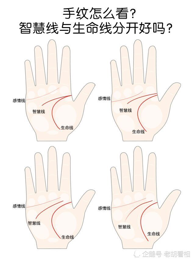 智慧线与生命线分开好吗 腾讯新闻