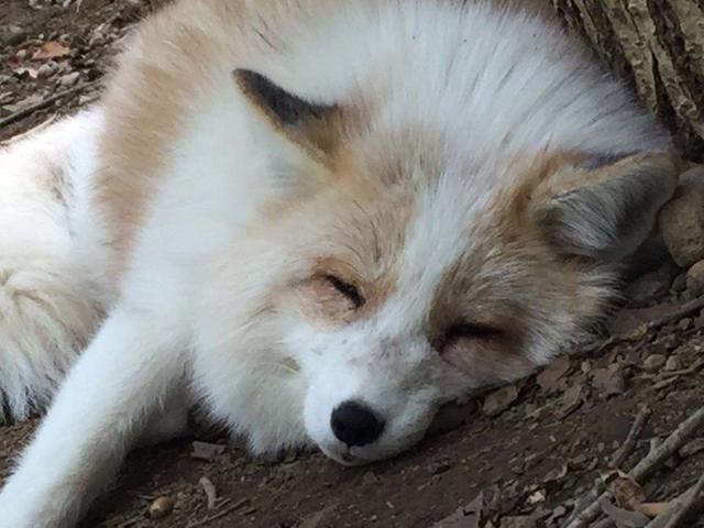 都市小说|5本小清新网络小说，语言幽默，告别无聊打怪升级