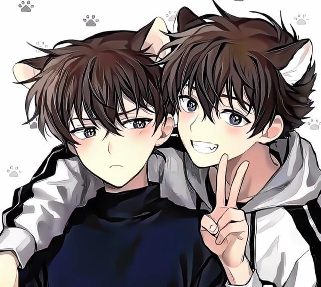 猫咪形象,如果非要评选出第一第二的话,柚子还是喜欢柯南和基德的猫化