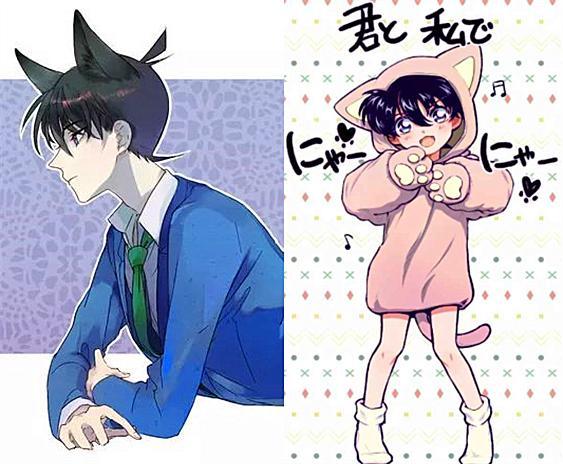 而猫化则是其中一种很有趣的分类.