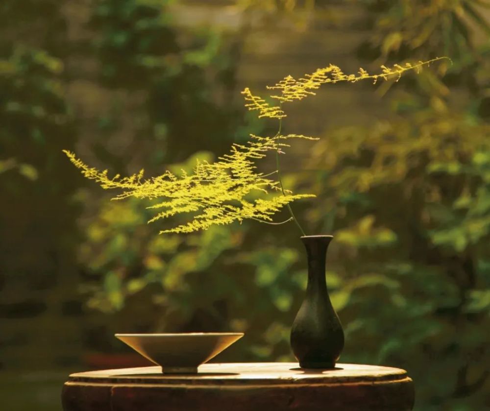 中华茶道的标准美学 腾讯新闻