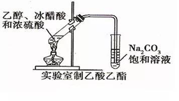 喝酒也能养生-脂类