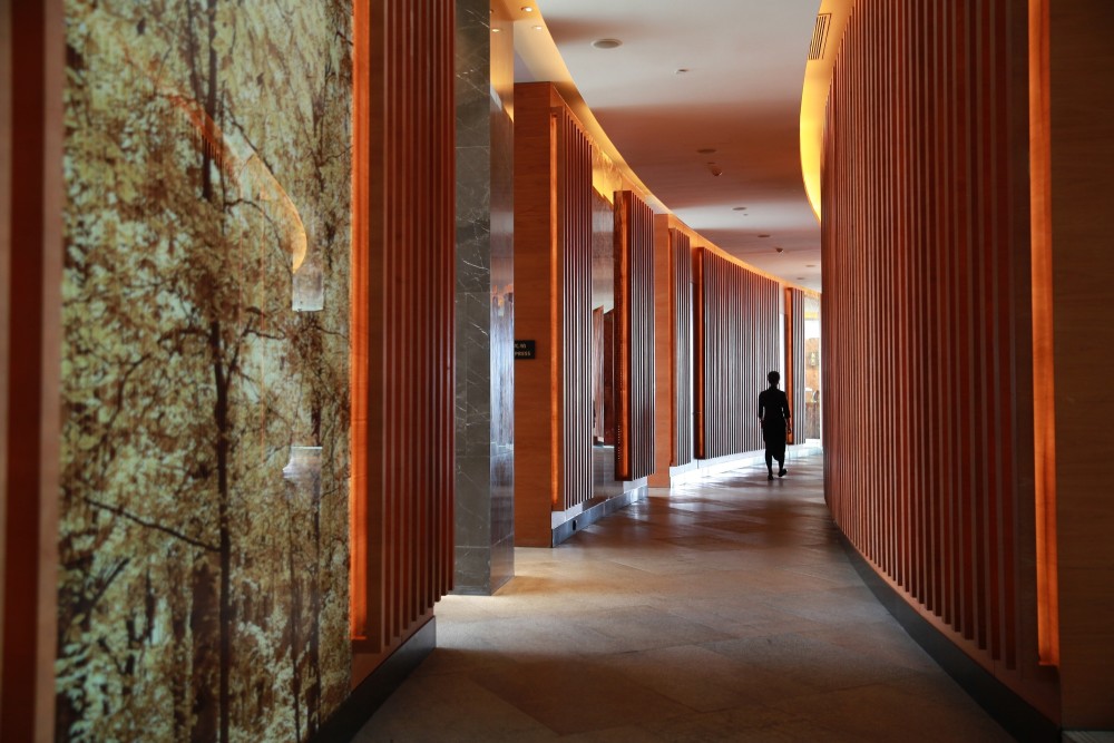 悠美食主厨荣归再谱粤式经典共襄上海唐阁10年精彩