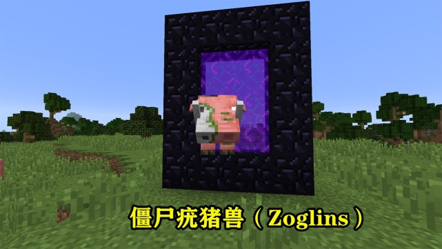 我的世界:新增僵化疣猪兽,炽足兽平衡,苦力怕地位提升|mojang|僵尸|我