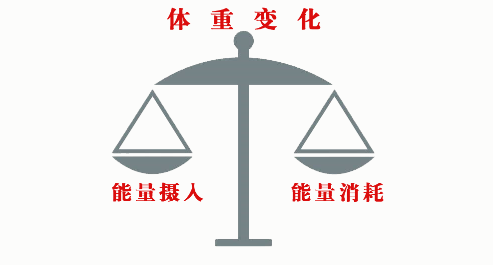 其实体重的变化,是受能量储存的直接影响,能量储存=能量摄入-能量消耗