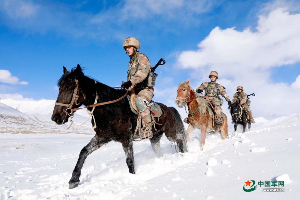 军马"流星":巡逻路上的"安全员"_腾讯新闻