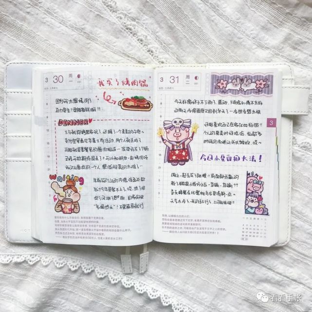 肉球胶带在日常手帐里的超可爱排版这也太好看了吧