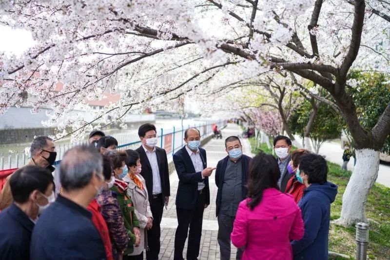 无锡梁溪区人大 樱花树下听民声 腾讯新闻