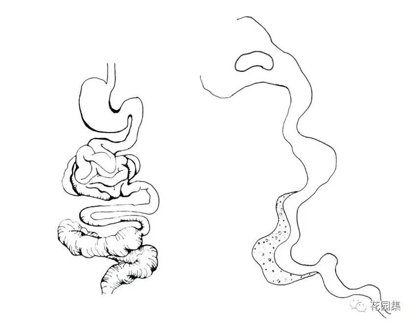 高端庭园项目该如何营造?资深造园师给你划重点