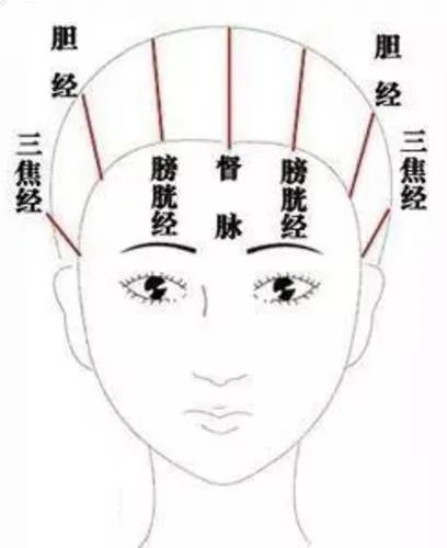 有偏头痛,气闷,胁肋部胀痛的人,可以梳头部两侧,头部两侧是胆经,三焦