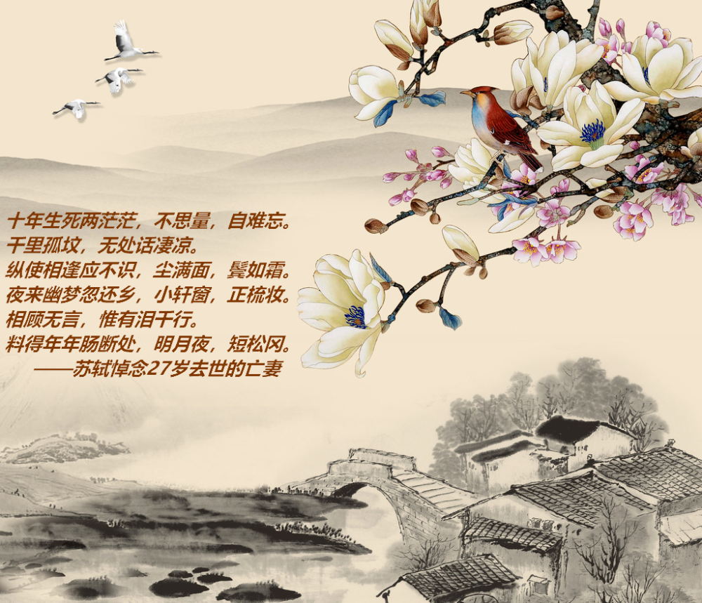 生离死别是每个人不得不思考和面对的话题.