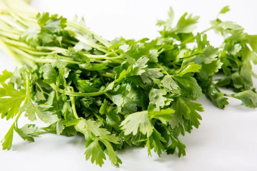 说了多少遍要香芹,不要香菜!