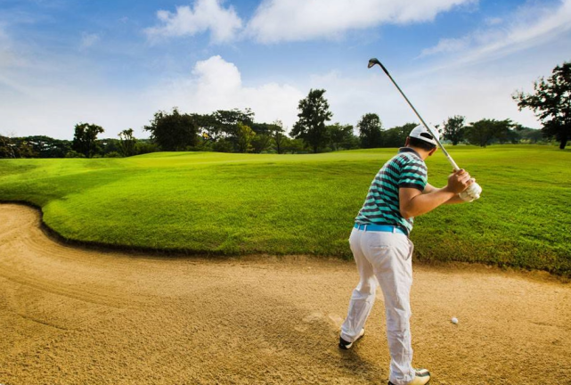 搜索蓝茵高尔夫,关注公众