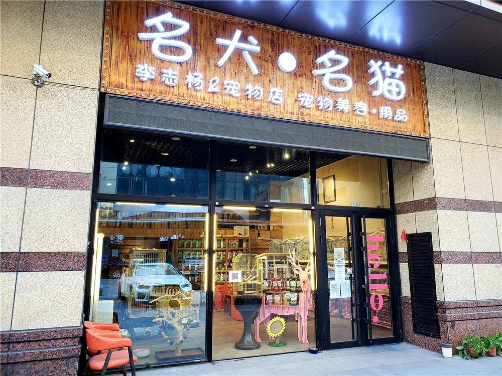 疫情之下哈尔滨那些宠物店与毛孩子们的喜与悲