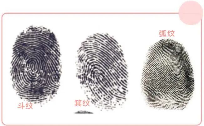 小小的指纹暗藏玄机,你有没有体育天赋?