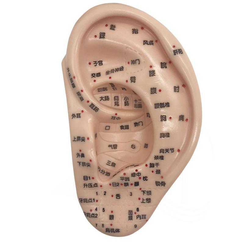 烟瘾很大试试耳穴戒烟真的很灵