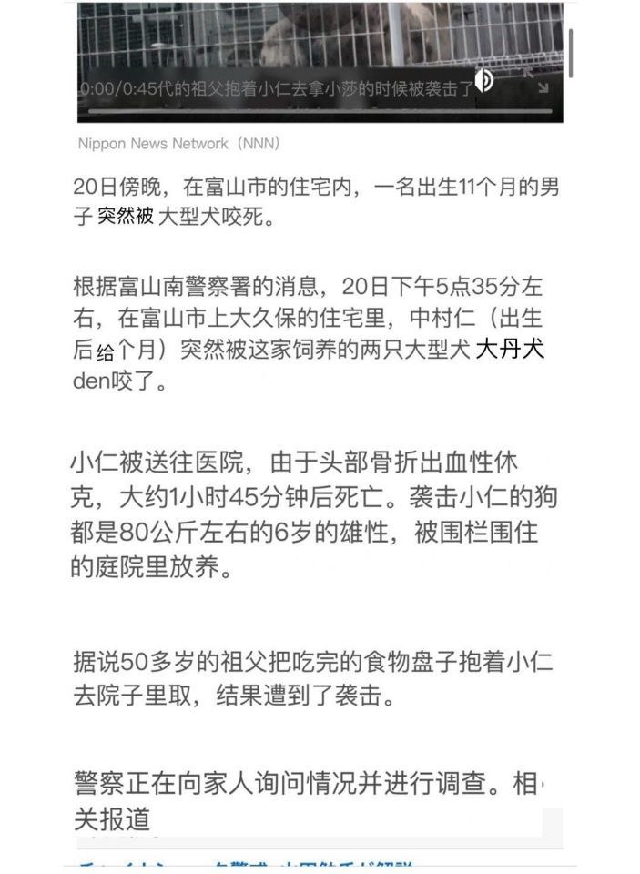 日本一大型犬 将11个月男孩咬伤致死 狗狗护食 该怎么办 腾讯新闻
