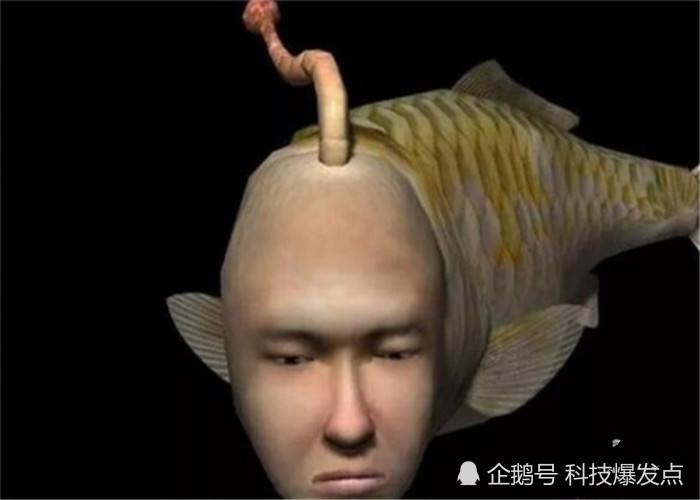 曾在世界多地发现"人面鱼",长着人的脸,却在水中自由穿梭!